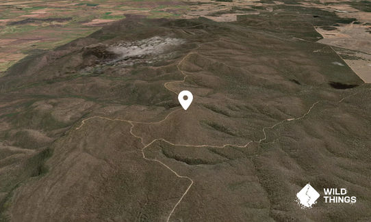 Strahorns Peak