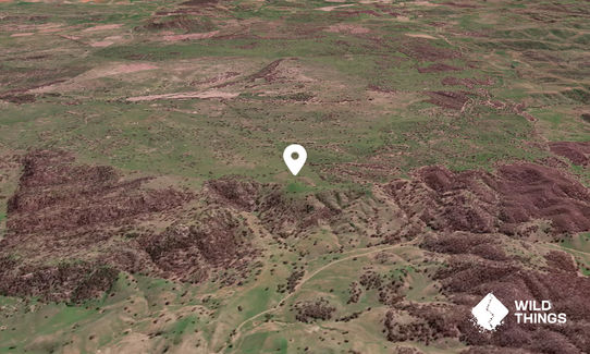 Mount Umagarlee