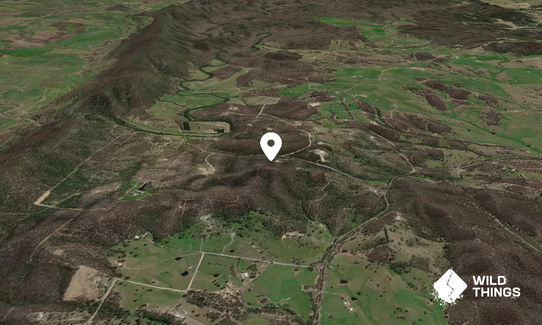 Norrong
