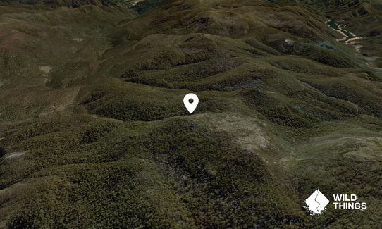 Dead Horse Hill