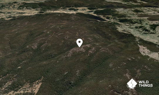 Mt Scott
