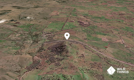 Bowning Hill