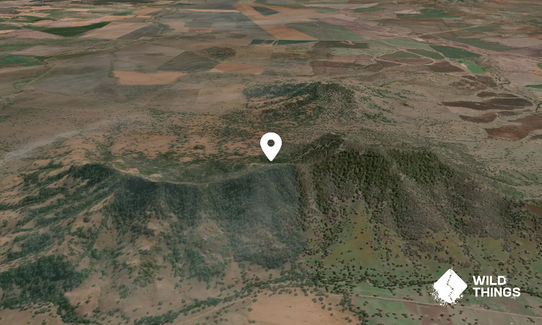 Mount Finlay