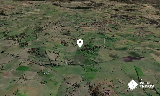 Diamond Hill