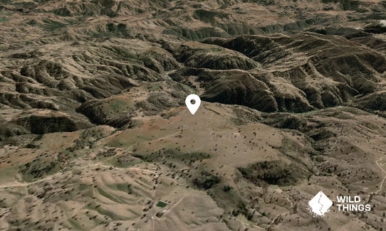 Finchs Bald Hill