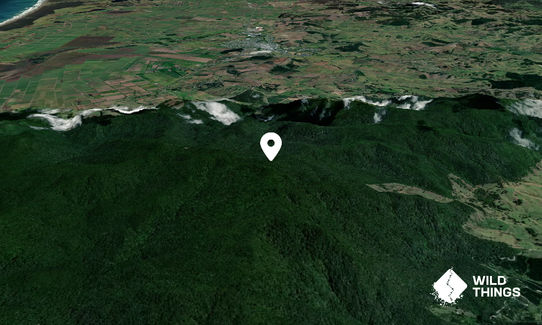 Taumatamahoe