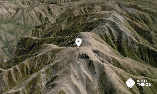 Mount Milne 