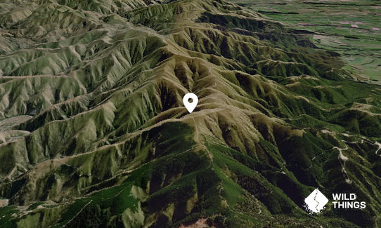 Mt. Shrives