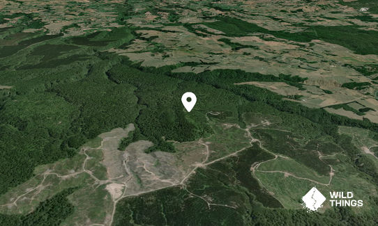 Pūwhenua
