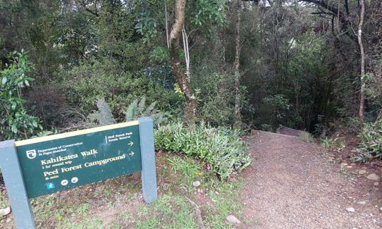 Peel Forest Rounds, Canterbury