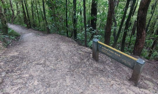 Peel Forest Rounds, Canterbury