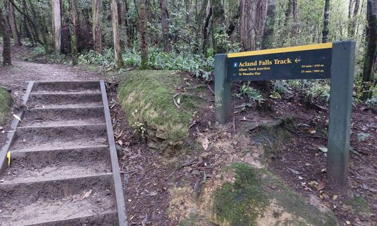 Peel Forest Rounds, Canterbury