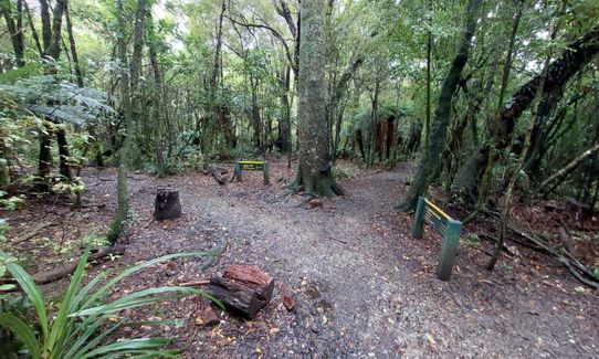 Peel Forest Rounds, Canterbury