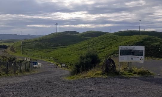 Pipiwharauroa Trail, Waikato