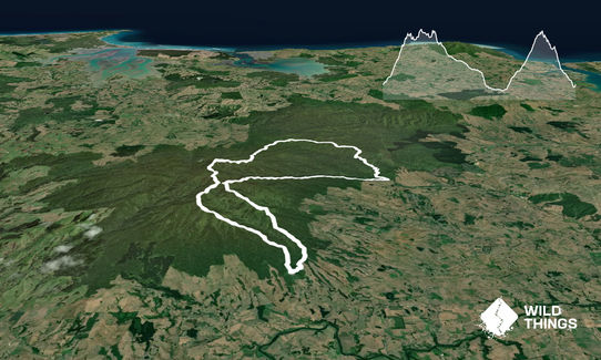 Pirongia Trail Run - Munter, Waikato