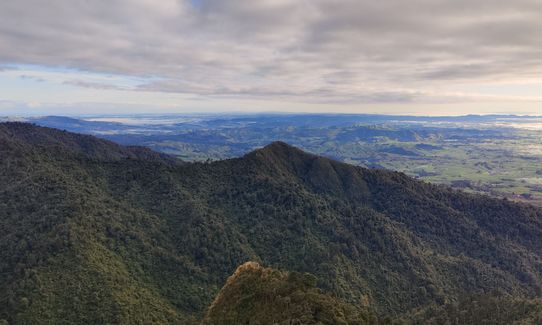 Pirongia Trail Run - Munter, Waikato