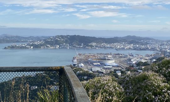 Piwakawaka Track, Wellington