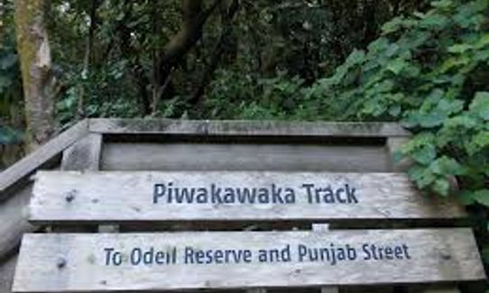 Piwakawaka Track, Wellington