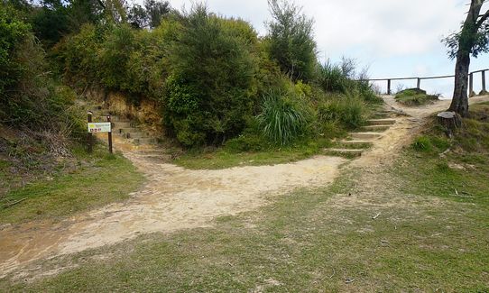 Pohaturoa Track, Bay of Plenty
