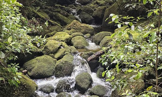 Pouakai Circuit, Taranaki