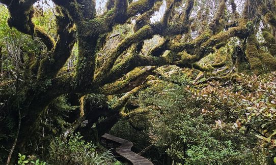 Pouakai Circuit, Taranaki