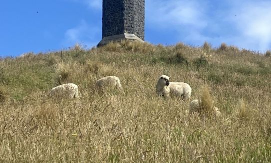 Puketapu Hill Loop, Otago