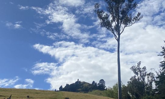 Puketapu Hill Loop, Otago
