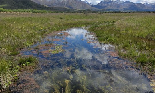 The Pyramid, Canterbury