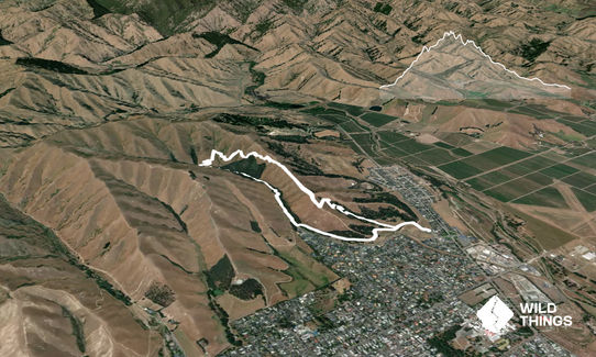 Quail Stream Loop, Marlborough