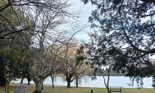 Queenstown Lake and Gardens, Otago
