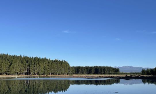 Rabbit Island, Tasman