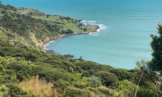 Raglan Whāingaroa Beach and Bush, Waikato