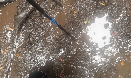 Rakiura Track, Southland