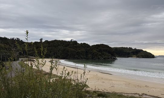 Rakiura Track, Southland