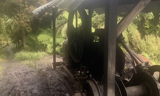 Rakiura Track, Southland