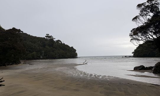 Rakiura Track, Southland