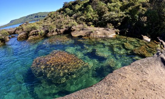 Rangatira Ramble, Waikato