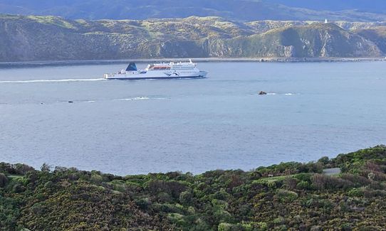 Rangitatau Plane Spotting, Wellington