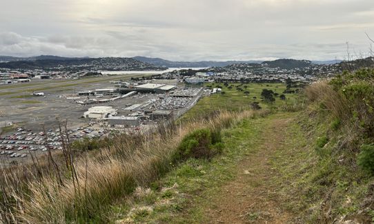 Rangitatau Plane Spotting, Wellington