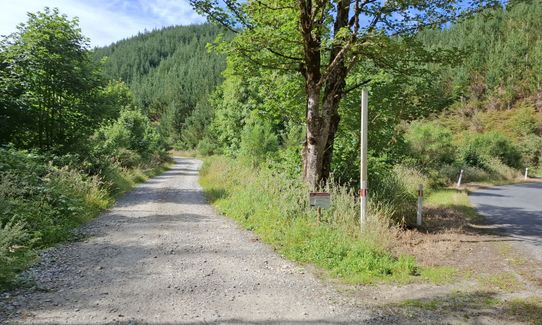 Reefton Zig Zags, West Coast