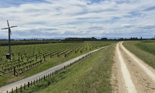 Tukituki River Trail, Hawkes Bay