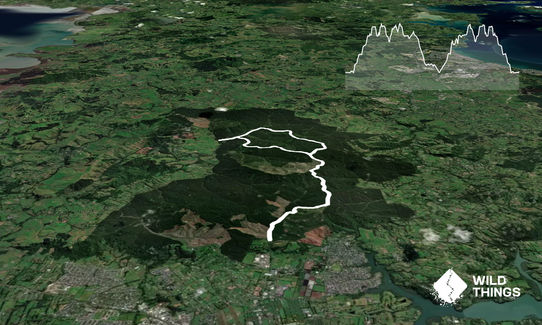 Riverhead Forest South Loop, Auckland