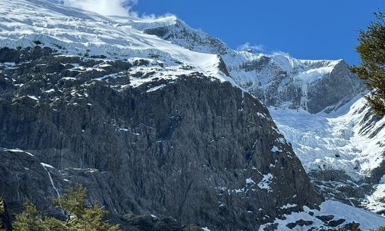 Rob Roy Glacier Track, Otago