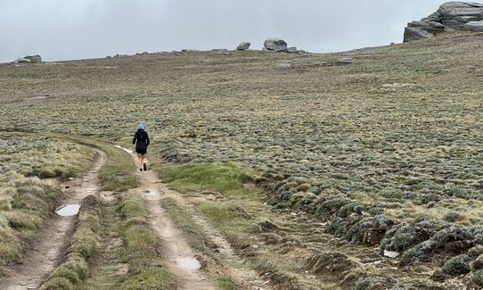 Rock and Pillars Loop , Otago