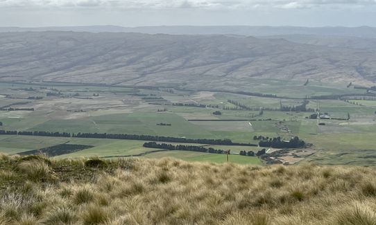 Rock and Pillars Loop , Otago