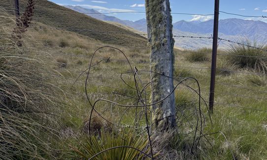 Rock Peak Track, Otago