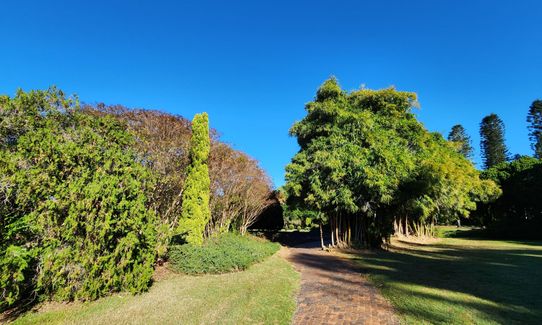 Rockhampton Botanic Gardens Loop, Queensland