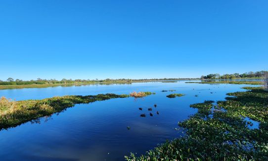 Rockhampton Botanic Gardens Loop, Queensland