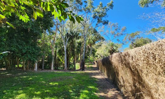 Rockhampton Botanic Gardens Loop, Queensland
