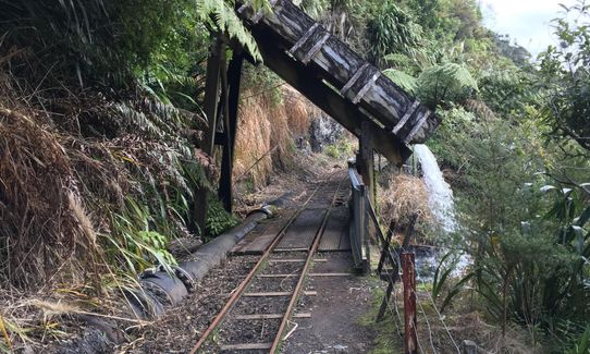 Cascade Kauri Outer Loop, Auckland
